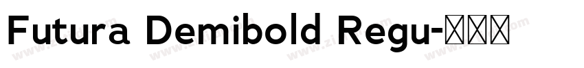 Futura Demibold Regu字体转换